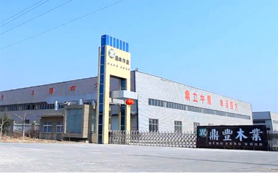 【专访】九游会股份副总经理陈晓东：灵活布局发掘强劲产能 助力项目成果“落地生金”